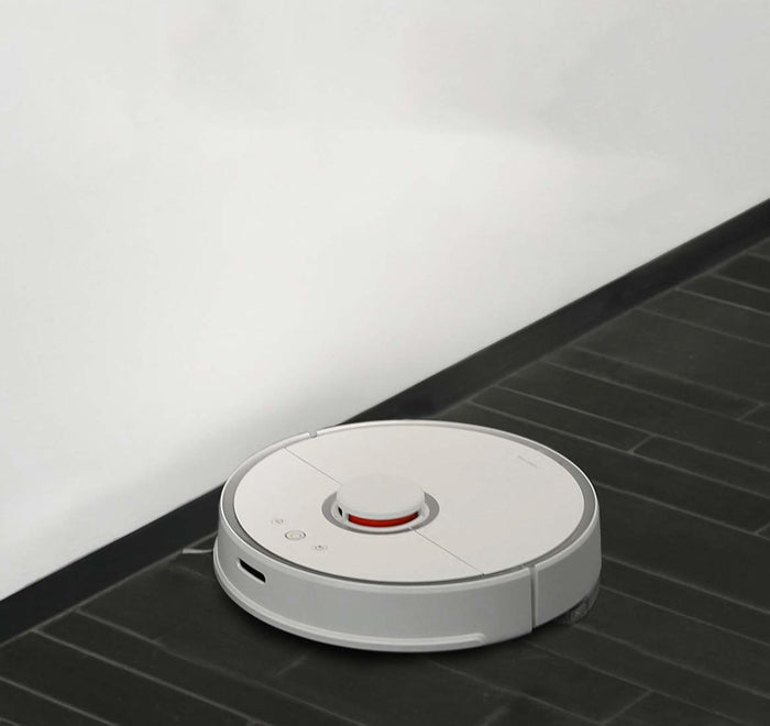 Originele zijborstel voor Xiaomi Roborock V1, S50, S55, S5 Max, S6 Robotstofzuiger (2 stuks)