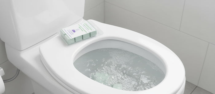 Toilet Fizzies- Lavender Eucalyptus