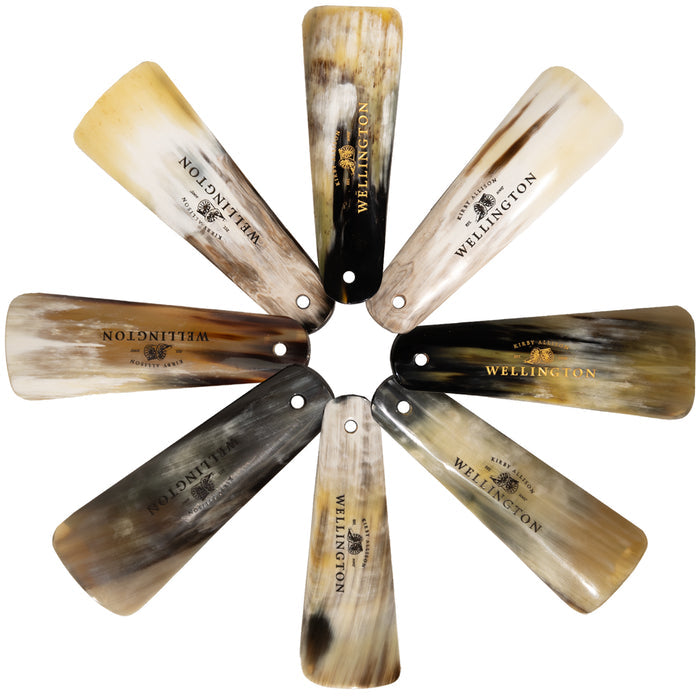 Wellington Travel Shoehorn