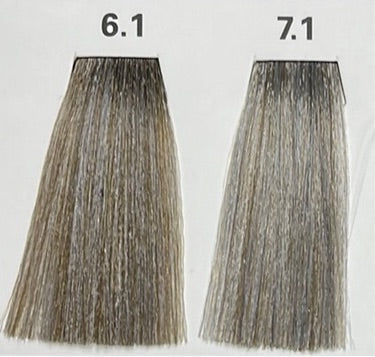 6.1 (LIGHT ASH)  NATURE COLOR PLEX 4.06 Fl. Oz./120ml.