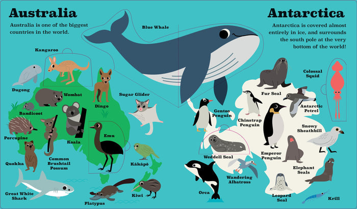 Book - Animal Atlas - Spread