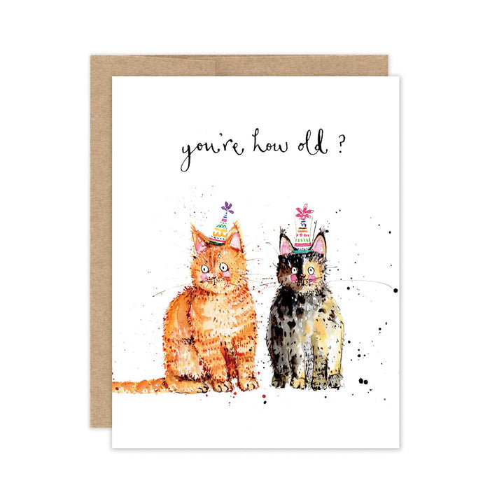 Birthday card with two cats wearing party hats and text 'you're how old?' on a white background.