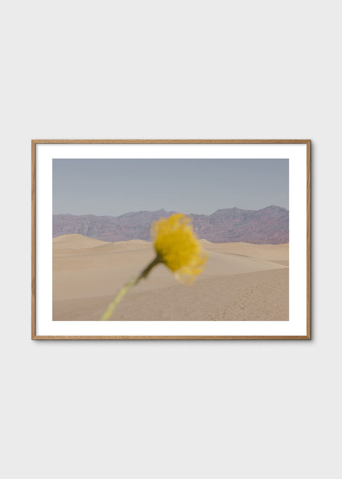 Desert Mirage by Nicole Mason