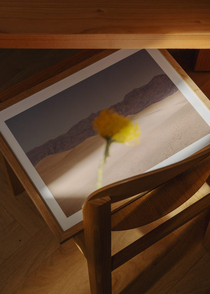 Desert Mirage by Nicole Mason