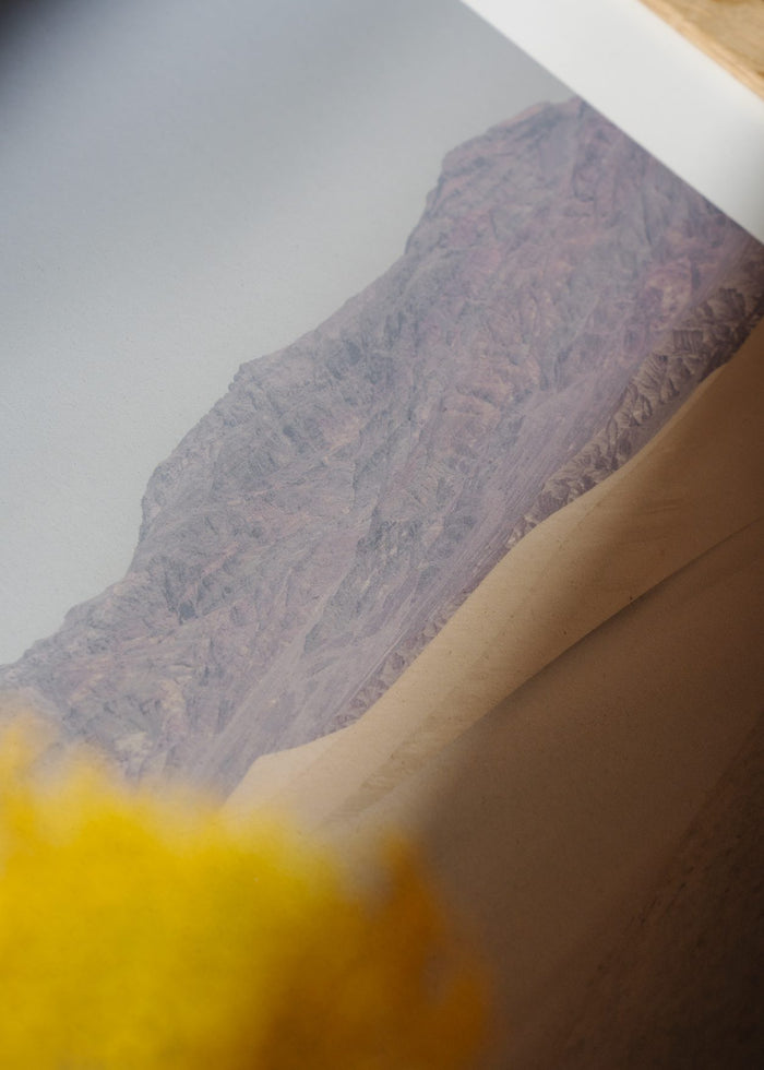 Desert Mirage by Nicole Mason