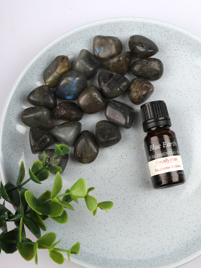Labradorite - Tumbled | One Colour-Image 1