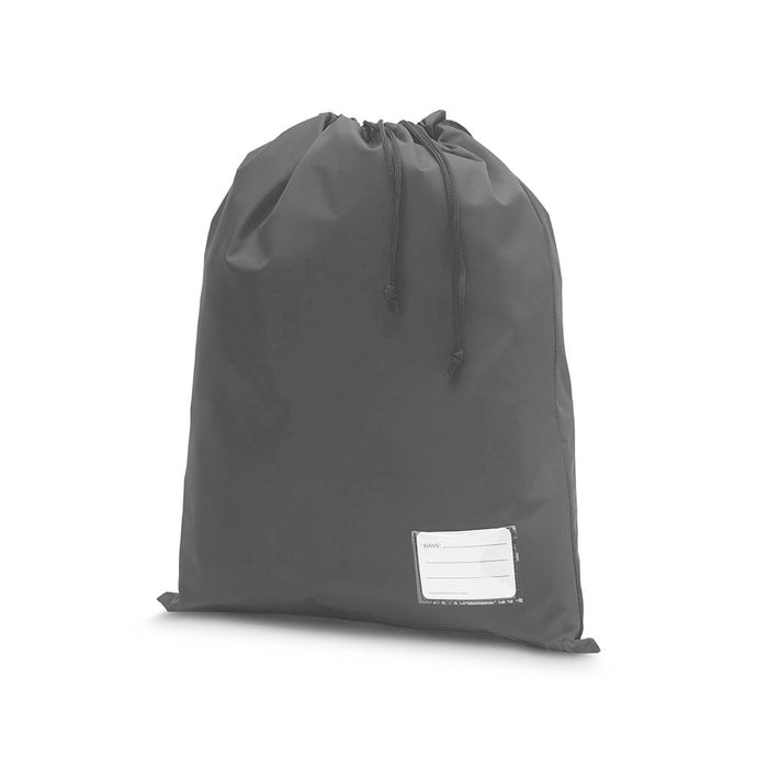 Library Bag