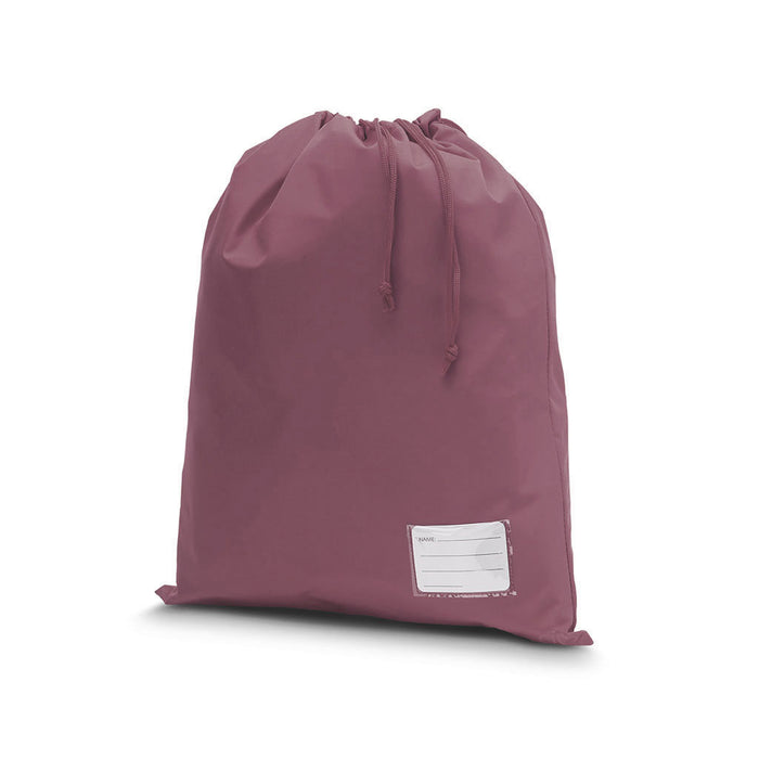 Library Bag