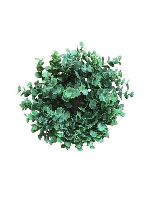 Light Green Eucalyptus Candle Ring