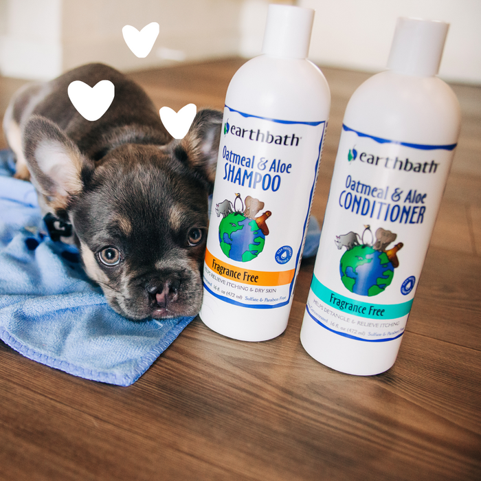 Dog with Oatmeal & Aloe Itch Relief Shampoo - Fragrance Free and hearts