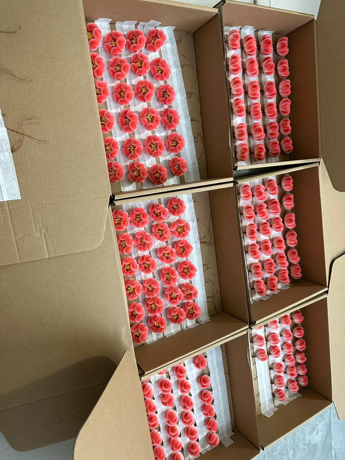 PF070 - Five Petals Ronghua - Wholesale