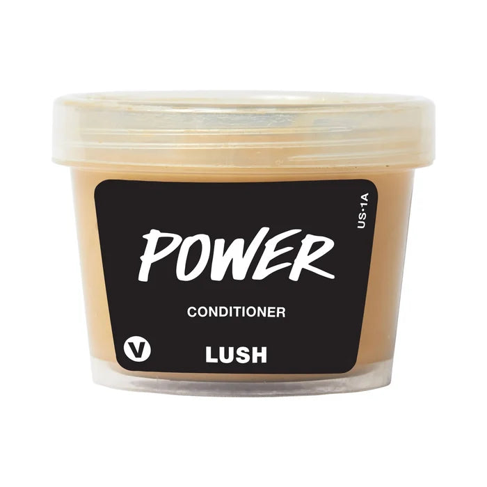 Power - Conditioner