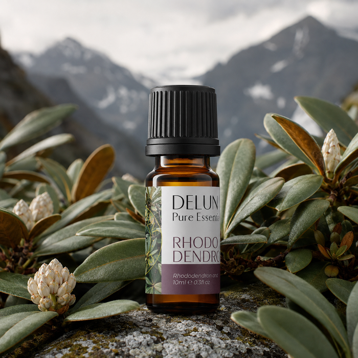 Rhododendron Leaf Pure Essential Oil with alpine rhododendron foliage