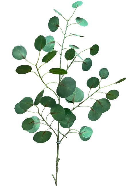 Silver Dollar Eucalyptus Pick 45.5"