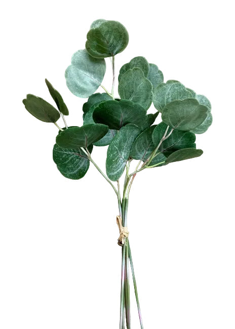 Silver Dollar Eucalyptus Pick Bundle
