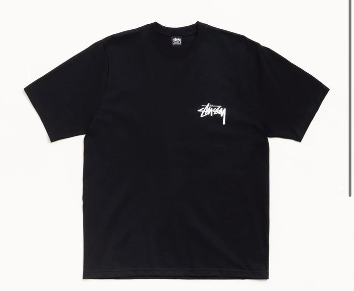 STUSSY VICTORIA TEE (BRAND NEW)