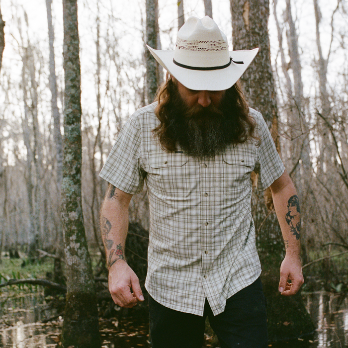 The Everglades by Poncho