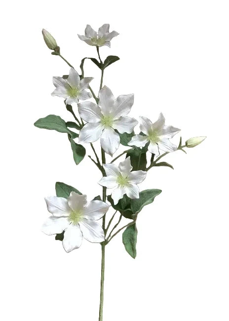 White Clematis Spray