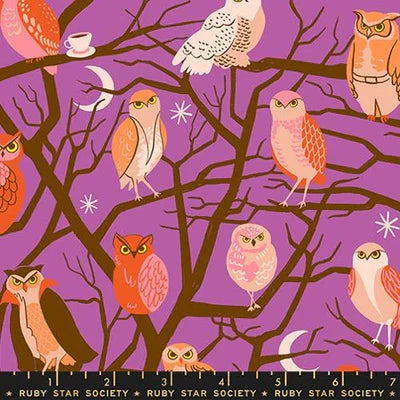 Witchy- Owls- Freaky Familiars- Fat Quarter